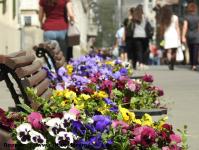 Imagine atasata: Reabilitare centru - 2016.04.06 - 34.jpg